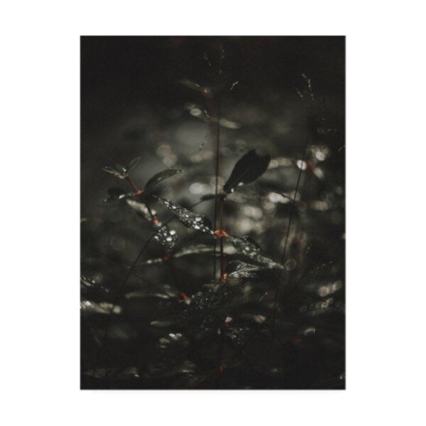 Design Fabrikken 'Secret 7 Fabrikken' Canvas Art, 24x32, Trademark Fine Art, Mfr#: IC01357-C2432GG